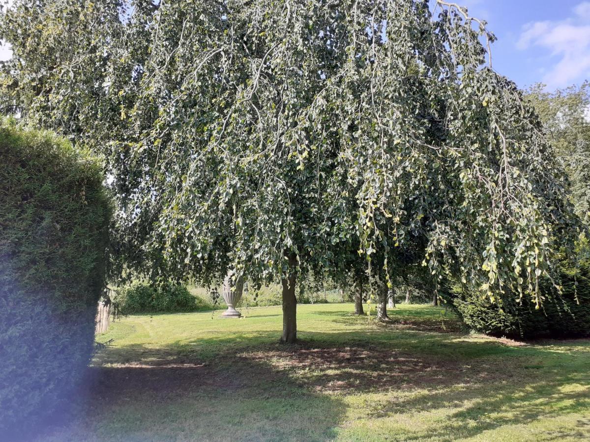 Manoir De Camblain B&B 외부 사진